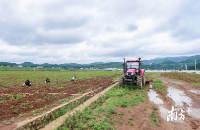 南方日报（南方+）：贫困户每家一个“二维码”，贵州土特产直供广州餐桌