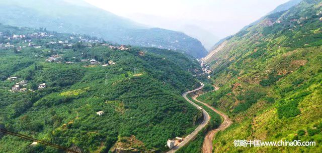 CCTV：小小花椒树，致富大产业 鲁甸县长马洪旗为鲁甸青花椒代言