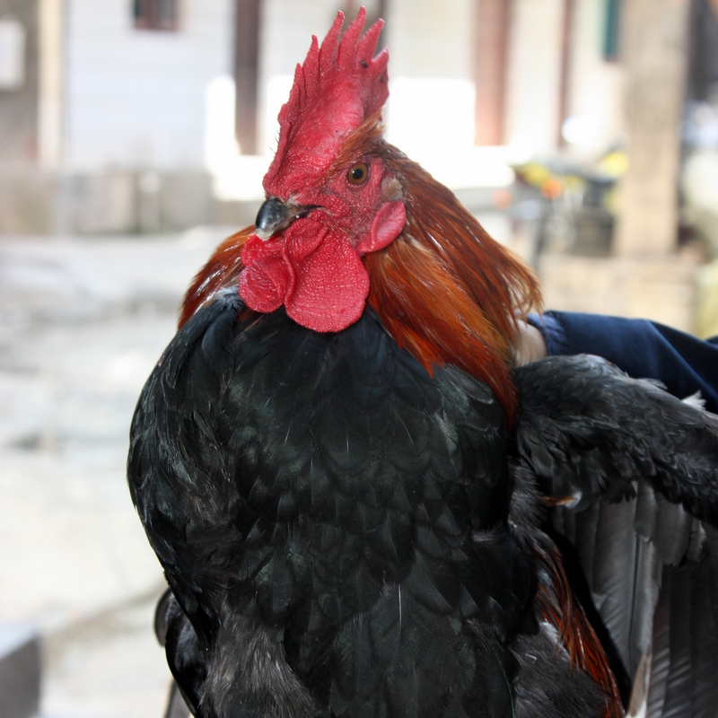 20151124161134_85371