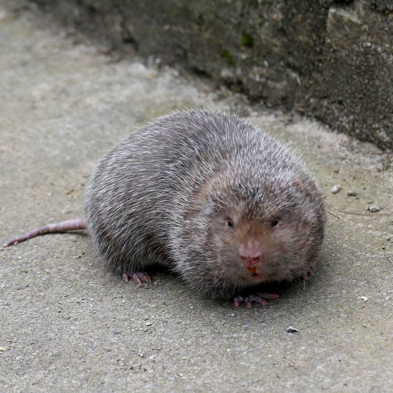 20151127201136_85441