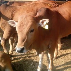 贵定县裕江种养殖有限公司