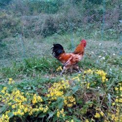 贵州乾地龙生态科技有限责任公司