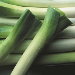 天天鲜生态农业开发有限公司