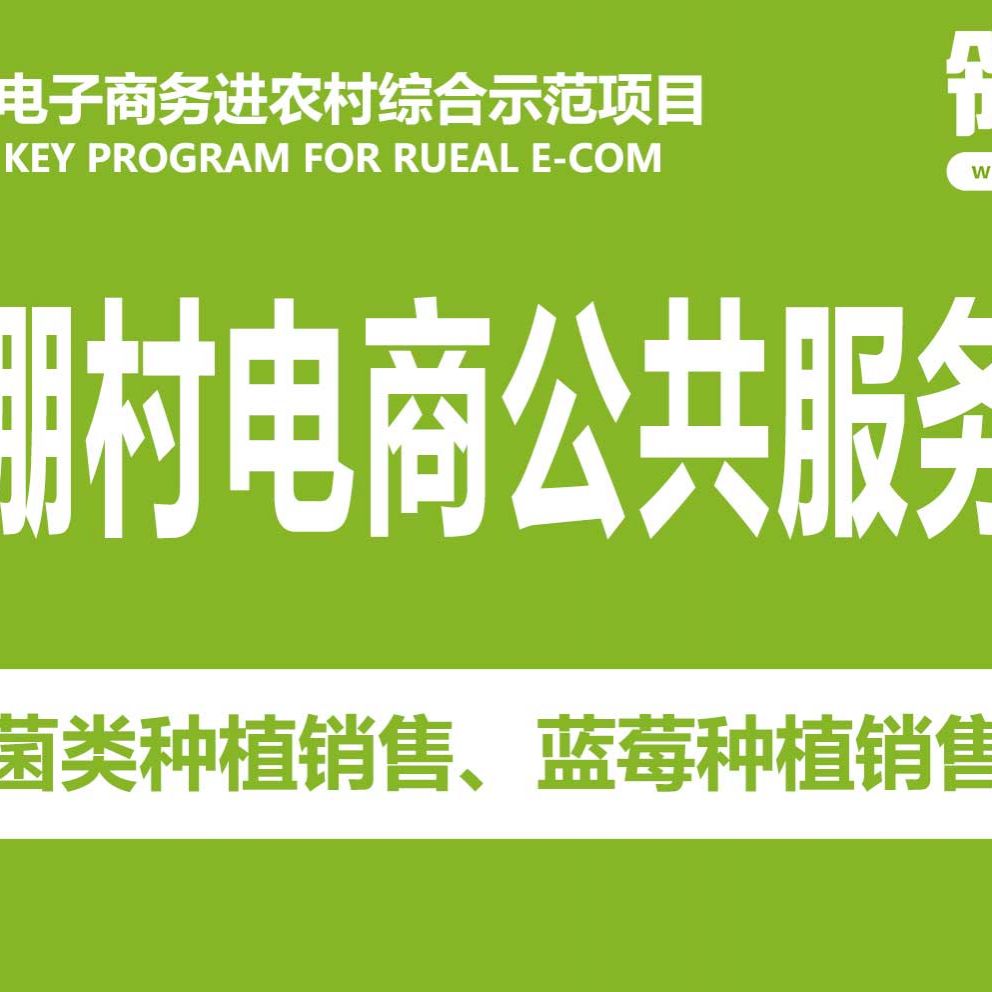 水磨镇新棚村_wps图片