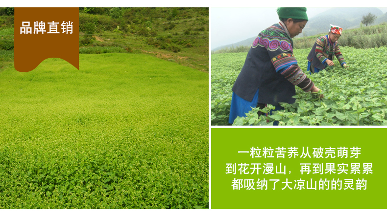 TB2lMWvoY9YBuNjy0FgXXcxcXXa_!!3080371068